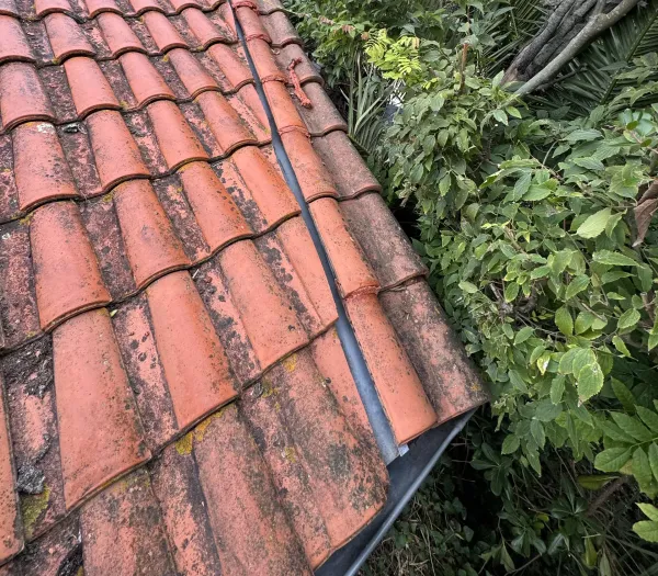 Tuiles canal tachées de mousse et de lichens, avec une bande de métal entre deux pans de toit